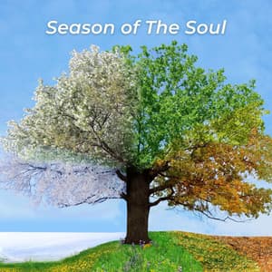 Season of The Soul - Calming Chords