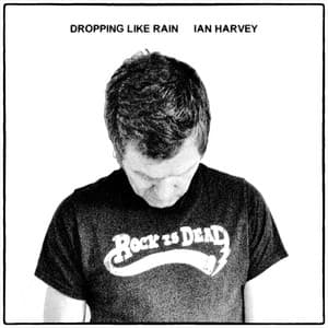Dropping Like Rain - Ian Harvey