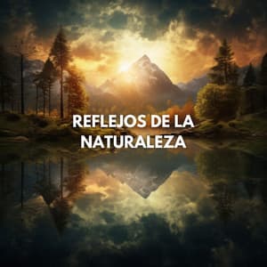 Reflejos de la Naturaleza - Saludo al Sol Sonido Relajante