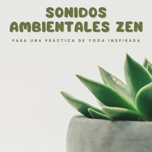 Sonidos Ambientales Zen Para Una Práctica De Yoga Inspirada - Piano relajante profundo