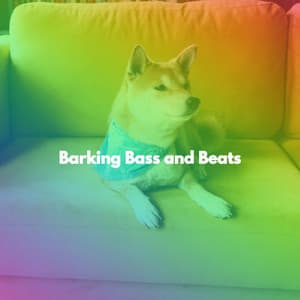 Barking Bass and Beats - Jazz para Dormir Orquesta