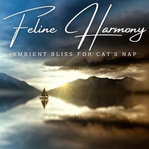 Rainy Feline Harmony: Ambient Bliss for Cat's Nap - Lightning, Thunder and Rain Storm
