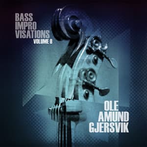 Bass Improvisations Volume 8 - Ole Amund Gjersvik