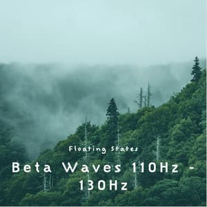 Beta Waves 110Hz - 130Hz - Floating States