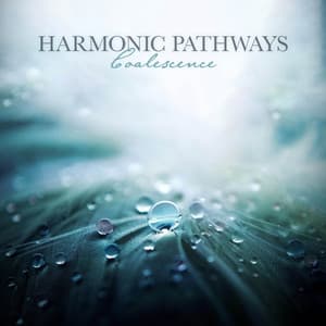 Coalescence - Harmonic Pathways
