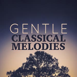 Gentle Classical Melodies - Romantic Music Ensemble
