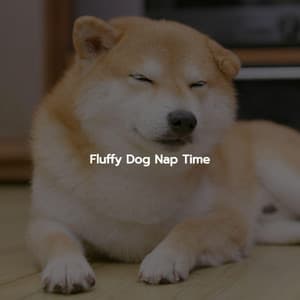 Fluffy Dog Nap Time - Background Instrumental Jazz