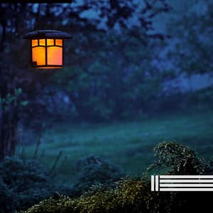 Natural Cricket Sounds - Night Sounds