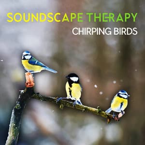 Soundscape Therapy: Chirping Birds, Music with Bird Song to Reduce the Stress, Increase Your Observational Skills - Calm Nature Oasis