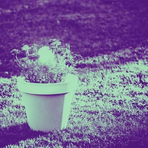 Cultured Background Music for Evening Country - Smooth Dinner Music