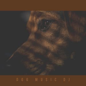 Music For Lonely Dogs - Dog Music DJ