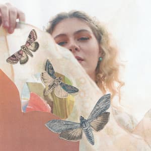 To the Wayside - Victoria Victoria