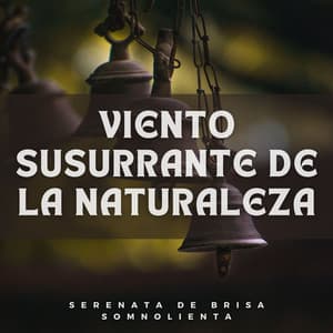 Viento Susurrante De La Naturaleza: Serenata De Brisa Somnolienta - Cuatro Vientos