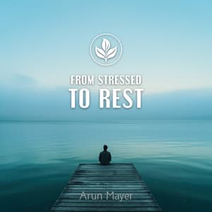 From Stressed to Rest - Arun Mayer