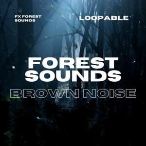 Forest Sounds for Sleeping or Studying , Loopable - Brown Noise Baby