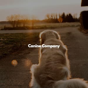 Canine Company - Toronto Coffee Shop Jazz
