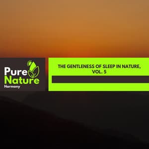 The Gentleness of Sleep in Nature, Vol. 5 - Nature Field Recordings
