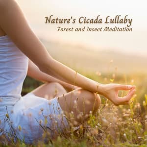 Nature's Cicada Lullaby: Forest and Insect Meditation - Cricket Sounds