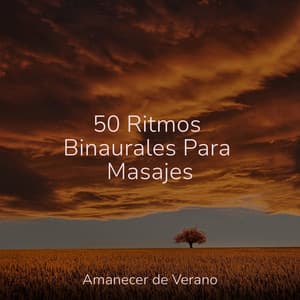 50 Ritmos Binaurales Para Masajes - Calm Music for Studying