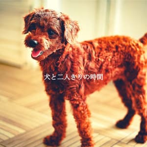犬と二人きりの時間 - Dinner Party Jazz Radio