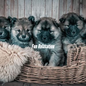 Fun Relaxation - Bossanova Playlist