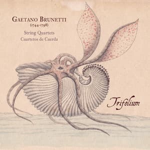 Gaetano Brunetti. String Quartets - Gaetano Brunetti