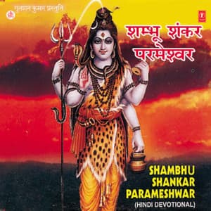 Shambhu Shankar Parameshwar - Mallikarjun