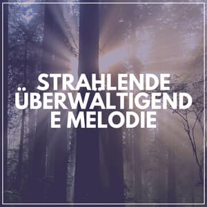 Strahlende üBerwältigende Melodie - Musik zum Lernen