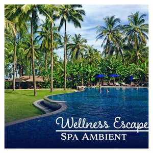 Wellness Escape – Spa Ambient: Serenity Night & Day, Body Revive, Without Noise, Mind Therapy, Natures Background Sounds - Wellness Sounds Relaxation Paradise