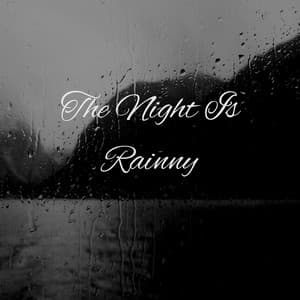 The Night Is Rainny - nostalofi