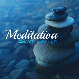 Meditativa avkopplande ljud - Zen Musik Akademi