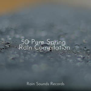 50 Pure Spring Rain Compilation - Sleep Sound Library