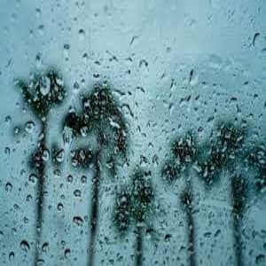 Gentle Rain Showers and Angry Rolling Thunderstorms - Sound Library XL