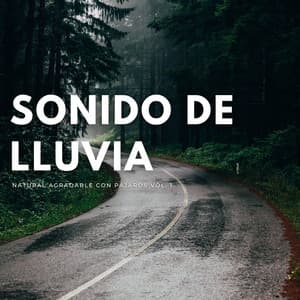 Sonido De Lluvia Natural Agradable Con Pájaros Vol. 1 - Don Lluvia