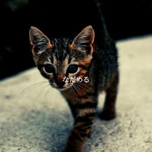 なだめる - Friday Morning Jazz Chillout