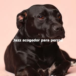 Jazz acogedor para perros - Smooth Jazz Sax Instrumental
