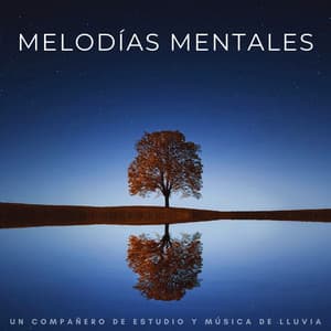 Melodías Mentales: Un Compañero De Estudio Y Música De Lluvia - Estudio lofi