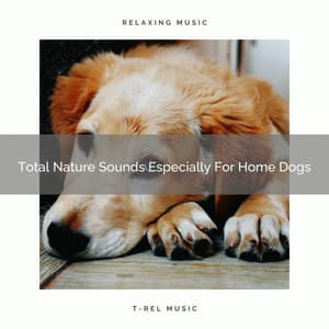 Total Nature Sounds Especially For Home Dogs - Dog Relax