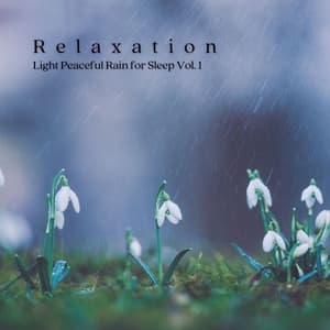 Relaxation: Light Peaceful Rain for Sleep Vol. 1 - The Sleep Phasers