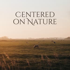 Centered on Nature - Calm Nature Oasis