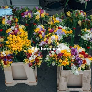 flor hermosa - Easy Jazz Bar Cafe