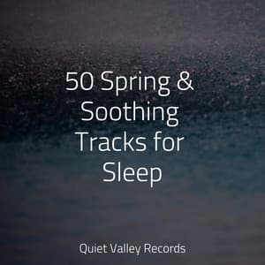 50 Spring & Soothing Tracks for Sleep - Massagem