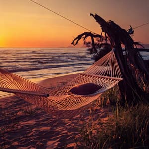 Relaxing Lofi Rhythms for Peace - Harp Relax