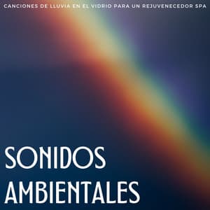 Sonidos Ambientales: Canciones De Lluvia En El Vidrio Para Un Rejuvenecedor Spa - La tierra siete
