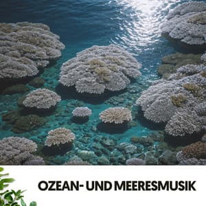 Ozean- und Meeresklänge: Tiefblaue Melodien - Ocean Sounds FX