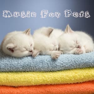 Music For Pets : Stability of mind Vol. 1 - Music For Pets