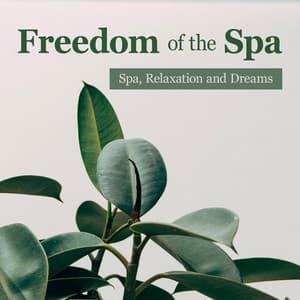 Freedom of the Spa - Spa, Relaxation and Dreams