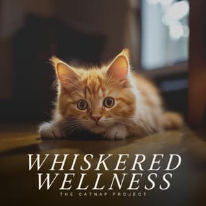Whiskered Wellness - Cats Music Zone