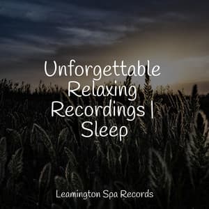 Unforgettable Relaxing Recordings | Sleep - Yoga Sounds