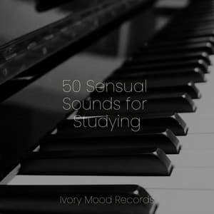 50 Sensual Sounds for Studying - Ivory Mood